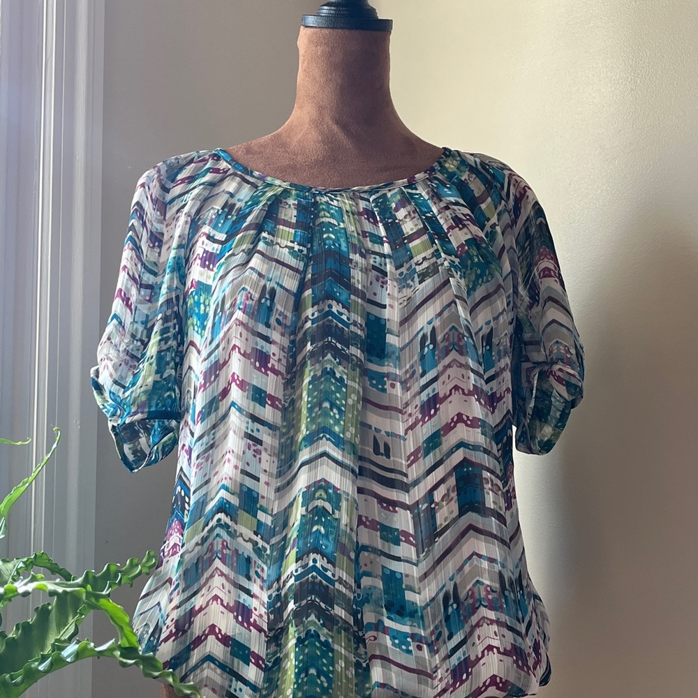 Roz & Ali Multicolor Chevron Women's Top